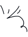Sprofues  Pvt Ltd about
